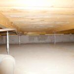 シロアリ駆除･予防